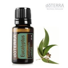 doTERRA eterično ulje, eukaliptus, 15 ml