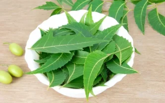 Neem: 7 blahodárných účinků na lidské zdraví