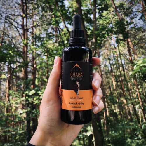 Chaga tinktura Hrotlife 100ml