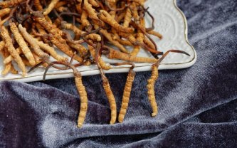 Cordyceps: Svestrani prirodni lijek s višestrukim učinci