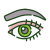 Oči