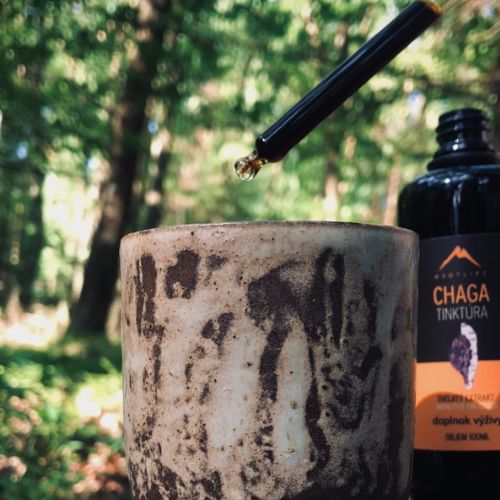 Chaga tinktura Hrotlife 100ml