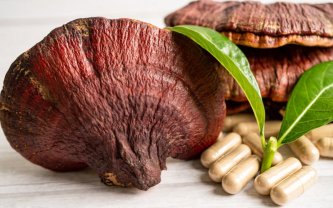 Reishi: Drevni ljekoviti učinci u današnjem svijetu