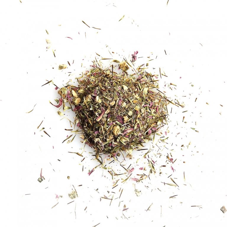 Biotatry sypaný bylinkový čaj Třapatkovka nachová (Echinacea purpurea)