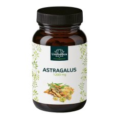 Unimedica Astragalus Extrakt (Kozinec), 1200 mg, 90 kapslí Unimedica Astragalus Extrakt (Kozinec), 1200 mg, 90 kapslí