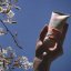 Opaľovacie telové mlieko Mango Baby & Family SPF50 Wooden Spoon 100ml