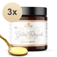 3x Bedrop Royal Jelly Bio včelia materská kašička čerstvá, 100g 3x Bedrop Royal Jelly Bio včelia materská kašička čerstvá, 100g