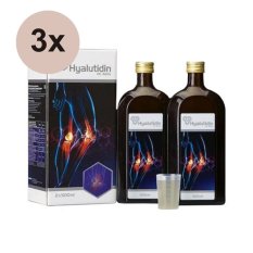 3x Gramme-Revit Hyalutidin HC Aktiv 2 x 500 ml