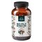 Unimedica Bio Reishi + Hericium + Čaga + Cordyceps, komplex 10 hub 180 kapslí