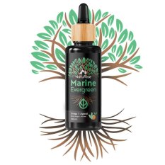 NatuRise Omega 3 olej z mořských řas 100 ml Vegan