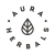 Aura Herbals