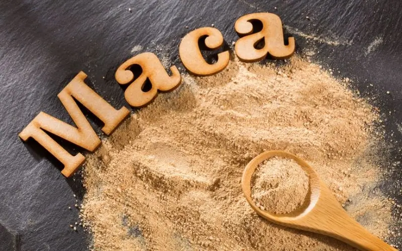 Maca