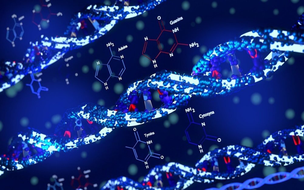 nicotinamide adenine dinucleotide